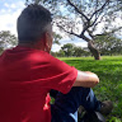 Paulo Jardim
