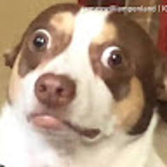 Arya