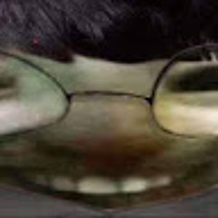 Anh Quoc Lê Hoàng