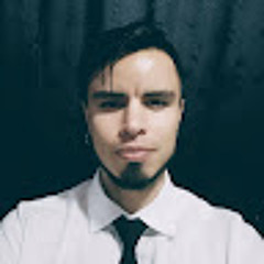 Camilo Andres Ruiz Rincon