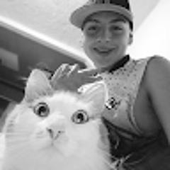 mono_DP