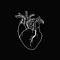 kother _393