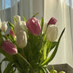 Дарія Ткачук