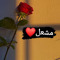 Mashal Khan jadoon