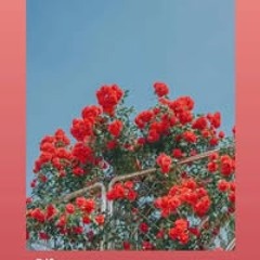 Devi Yantika Yantika