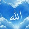 Menna Adel
