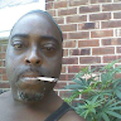 Cbk