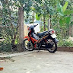 vanty tra