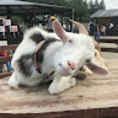 自然