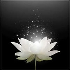 User 920325347