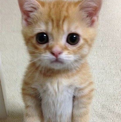 ssshhhiii