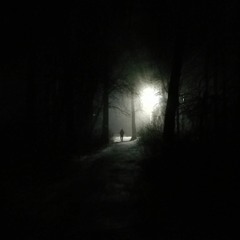 Daniel's Ambiance
