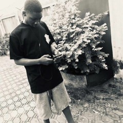 black jay