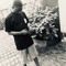black jay