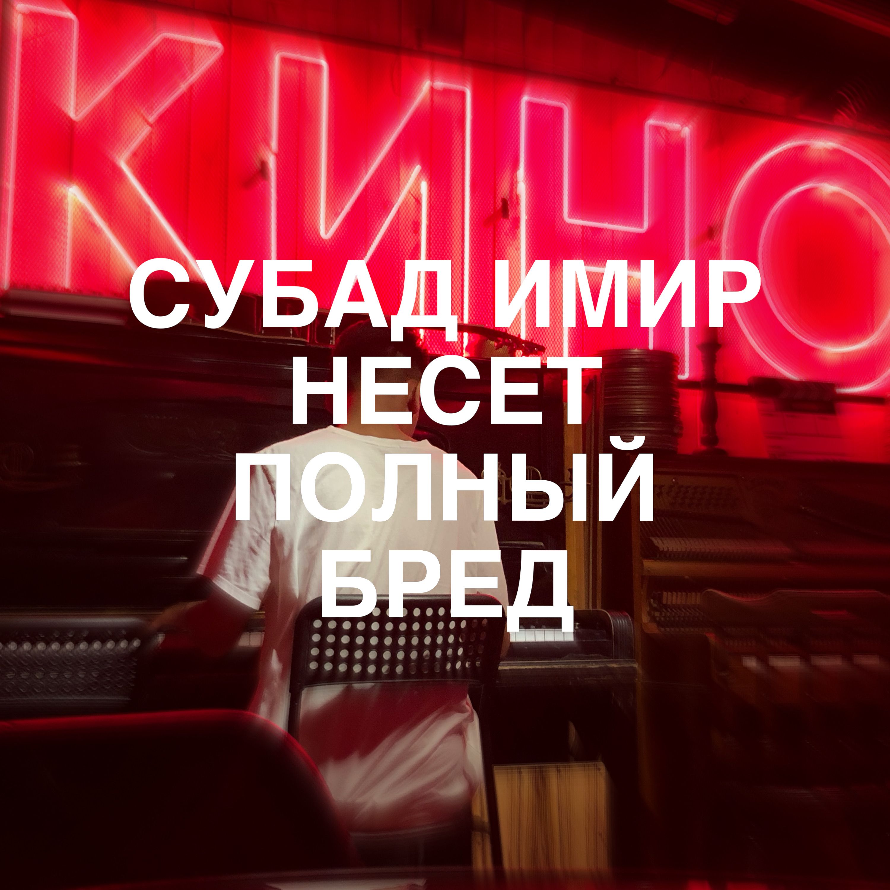 Субад Имир несет полный бред
