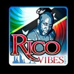 RICOVIBES (NATURAL VIBES SOUND)