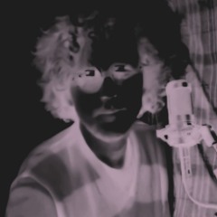 Vox Vulpes