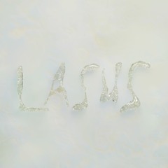Lasus