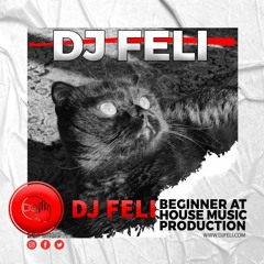 1st Episode By DJ FELI