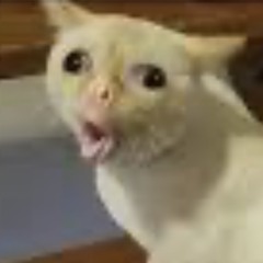 nerearueda