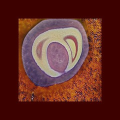 Dignuspublica-gesuppvimis