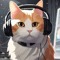 Catmusic5745