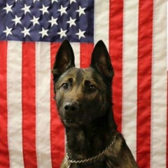 throttle body punishment