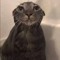 Vincematik
