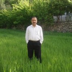 Ali Madad