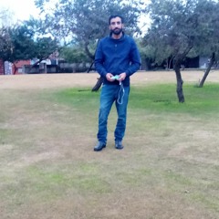 Amir habib