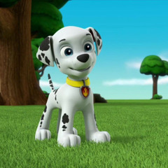Marshall
