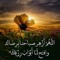 دودى ديرو
