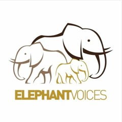 ElephantVoices