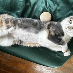 error404soulnotfound