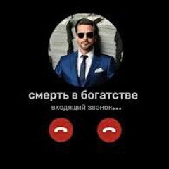 Ybizz804