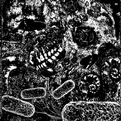 Tyrannius