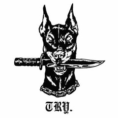 TimoNRG