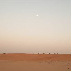 ‫أبو محمد الجزائري‬‎