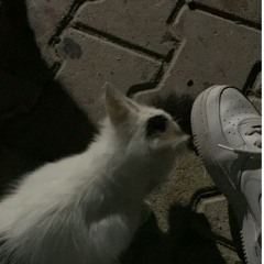 ♥