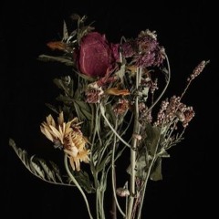 несуразность