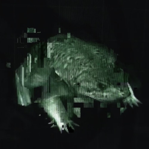 Le Frog’s avatar
