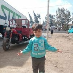 محمد فكري