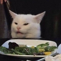 frizbeeHeadass__.clipx