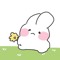 김데이