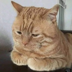 Đồng Trúc Mai