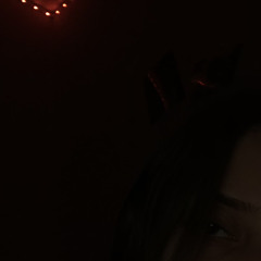 schaffiii