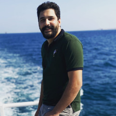 الشنقيطى