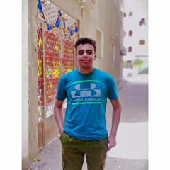 Ziad Mohamed