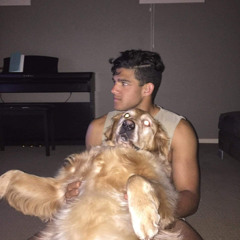 Matt Pereira 5