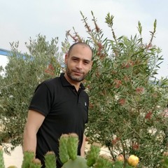 alsayed alsaadani